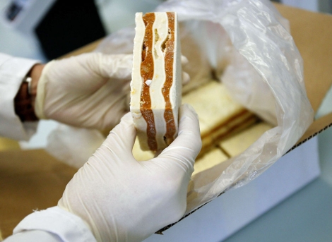 Anlisis de una lasaa en un laboratorio de referencia suizo. | Afp