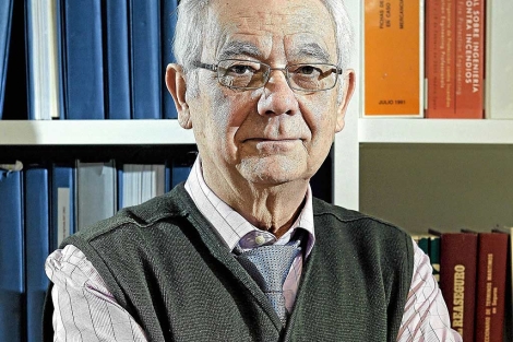 El profesor Vicente Martnez Sancho. | Efe
