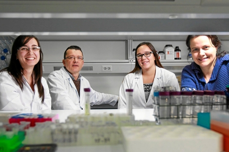 Los investigadores Rebeca Torres, Miguel ngel de la Fuente, Alejandra Bernardi y Mara Simarro. | Foto: J. M. Lostau