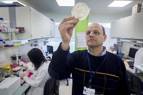 Francisco Blanco en su laboratorio.| Araba Press