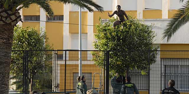 Guardias civiles rodean a un inmigrante encaramado a un rbol en un instituto tras saltar la valla. | Javier Soria