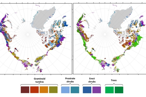 A la derecha, predicción de la distribución de la vegetación en 2050.| R. Pearson
