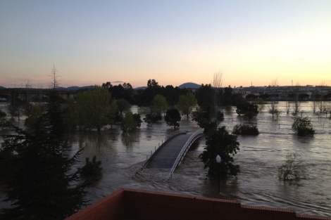 El río Guadiana a su paso por Mérida este martes. | D. V.