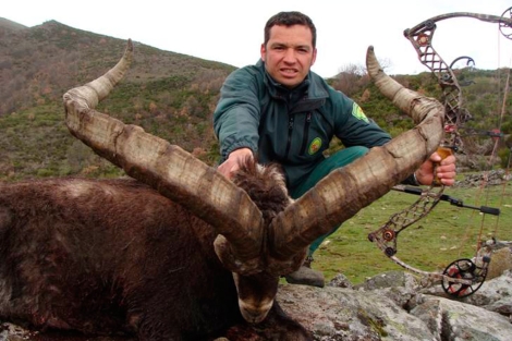 Macho monts de 15 aos cazado en Gredos. | Ical