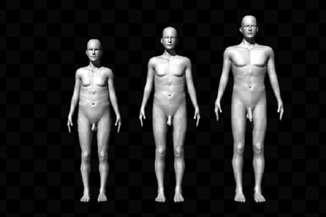 Modelos masculinos usados en el estudio. | PNAS