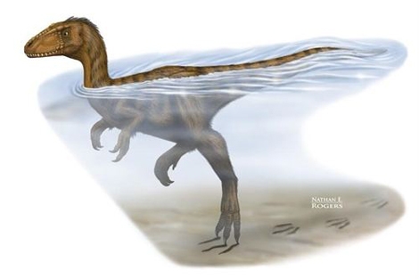 Recreacin artstica del dinosaurio nadador. | Nathan E. Rogers