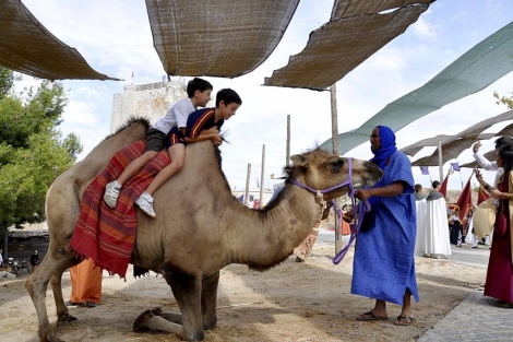 Niños montan en un camello parecido al de Hollande. | Santiago