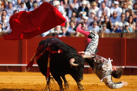 "El Juli" es derribado por su primer toro, que le corne en una pierna, en la corrida de la Feria de Abril, en la Maestranza de Sevilla. | Diego L.
