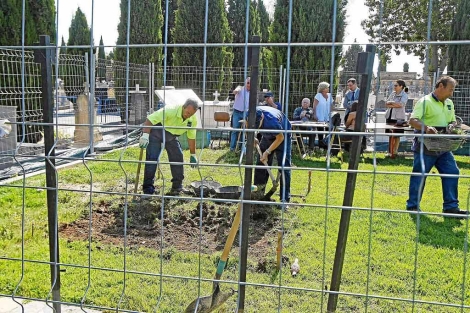 Trabajos de exhumacin en el cementerio de Alicante, este lunes. | E.M.