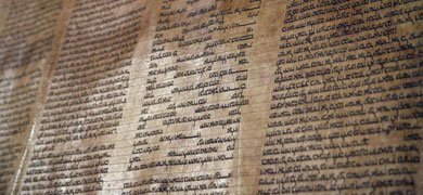 Vista parcial del manuscrito de la Tor descubierto en Bolonia. | Efe