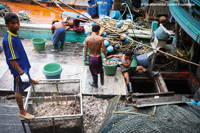 Trabajadores en un pesquero tailands. | Environmental Justice Foundation