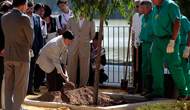 Naruhito planta un cerezo junto a la ribera del Guadalquivir. | J. Morn