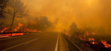Incendio en Valencia el verano pasado. | Afp