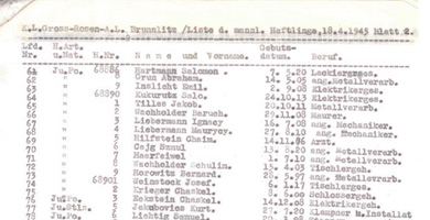 Detalle de una de las 14 pginas de la 'lista de Schindler' original. | eBay