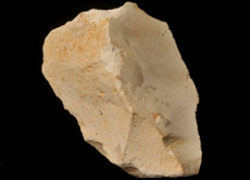 Slex cretcico hallado en Atapuerca. | IPHES