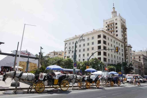 Parada de coches de caballo en la plaza de La Marina. | J. Domnguez