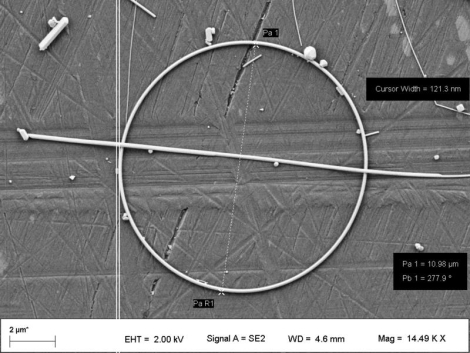 Nanoanillo de plata observado al microscopio electrnico de barrido.| ITMA