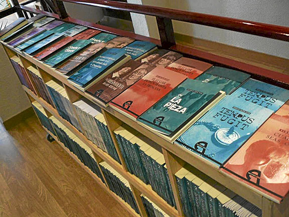 Libros expuestos, con las portadas a la vista, en una librería. |E.M.