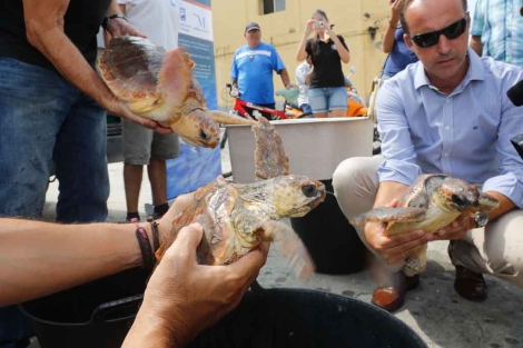 Algunos de los ejemplares de tortugas liberadas | Antonio Pastor