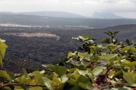 Vistas de la extensin de la finca forestal La Almoraima en Castellar. | Fco. Ledesma
