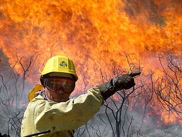 Un miembro de la brigada de extincin en uno de los incendios en Galicia. | Efe