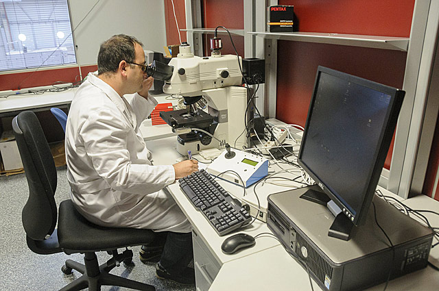 Un investigador consulta en su microscopio una muestra histopatolgica extrada de la red de biobancos.