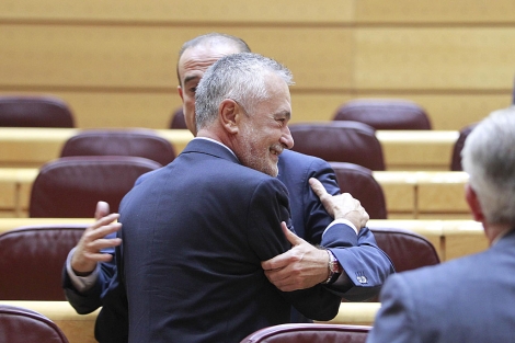 José Antonio Griñán saluda a los miembros del Senado. | José Aymá González