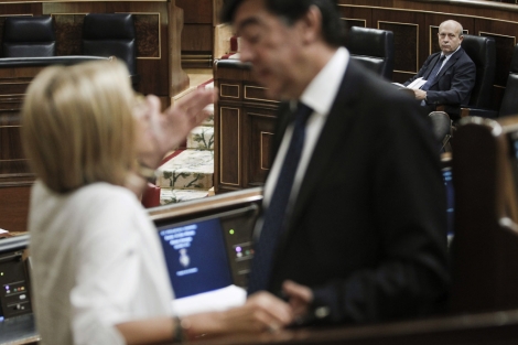 Jos Ignacio Wert, esta maana, en el Congreso de los Diputados. | Efe