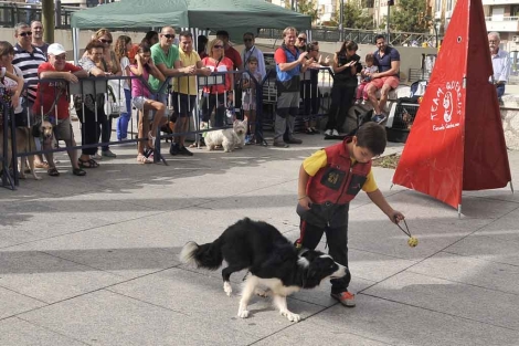 Un nio jugando con uno de los perros en la plaza del CAC | Nacho Alcal
