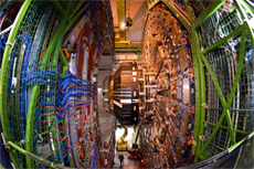 Detector CMS en el CERN. | AFP