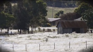 Llueven telaraas en un pueblo australiano