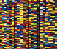 Secuencia de ADN (Foto: Bertrand Jordan y M. Hunkapiller)