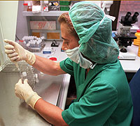 Laboratorio de fecundación 'in vitro'. (Foto: Chema Tejeda)