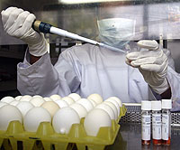Un cientfico toma muestras del virus de la gripe aviar en Indonesia (Foto: Reuters)
