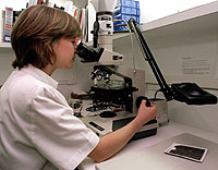 Una biloga observa por el microscopio embriones durante un congreso de reproduccin asistida. (Foto: EFE)
