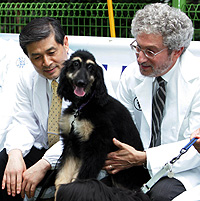 Hwang junto a su colega estadounidense Gerald Schatten, que ha pedido la retirada de su firma del trabajo de Science, durante la presentacin de Snuppy. (Foto: AP)