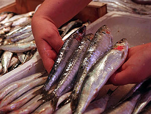 Las sardinas son una de las muchas clases de pescado azul (Foto: El Mundo)