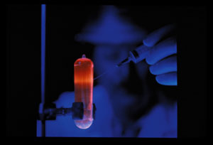 Purificacin del ADN (Foto: Instituto Nacional del Cncer de Estados Unidos)