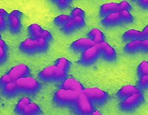 Imagen microscopica de cromosomas humanos. (Foto: Reuters)