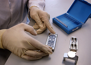 Microchip gentico (Foto: El Mundo)
