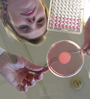 Una trabajadora de laboratorio maneja un fragmento de piel artificial (Foto: L'Oral)