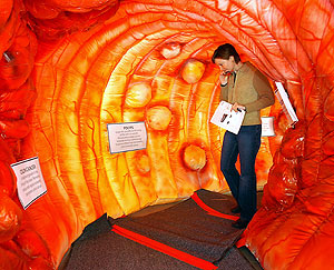 Una mujer pasea por el interior de una enorme réplica del colon humano (Foto: AP | Adolphe Pierre-Louis)