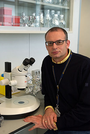 Miodrag Stojkovic estará al frente de la investigación con clonación terapéutica. (Foto: Vincent Bosch)