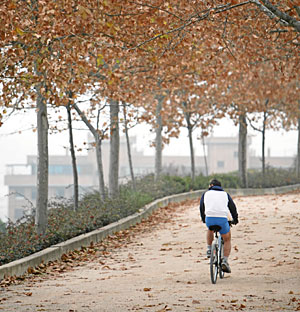 Un ciclista en el Parque Tierno Galvn. (Foto: Sergio Gonzlez)