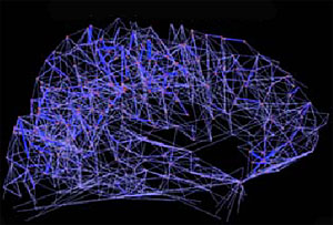 Las fibras nerviosas que componen la corteza cerebral. (Foto: PLoS Biology | P. Hagmann)