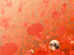 Un 'campo' de glbulos rojos y un leucocito. (Ilustracin: Donal Bliss | National Cancer Institute)