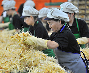 Varias trabajadoras de una fábrica de Ginseng (Foto: AFP | Kim Jae-Hwan)