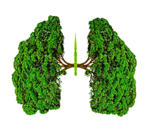 Imagen del programa sobre el cncer de pulmn en las jornadas de la ciencia.