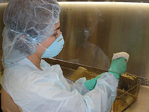 La investigadora, Elsa Quintana, con uno de los ratones del experimento. (Foto: U. Michigan)