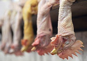 Cabezas de pollos en un mercado chino. (Foto: Sheng Li | Reuters)